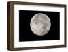 Yellowstone Late Summer Full Moon-Joe McDonald-Framed Photographic Print