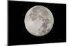 Yellowstone Late Summer Full Moon-Joe McDonald-Mounted Photographic Print