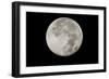 Yellowstone Late Summer Full Moon-Joe McDonald-Framed Photographic Print