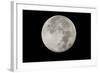 Yellowstone Late Summer Full Moon-Joe McDonald-Framed Photographic Print