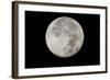 Yellowstone Late Summer Full Moon-Joe McDonald-Framed Photographic Print