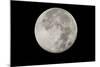 Yellowstone Late Summer Full Moon-Joe McDonald-Mounted Photographic Print