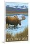 Yellowstone, Montana - Moose Drinking-Lantern Press-Framed Art Print