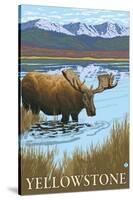 Yellowstone, Montana - Moose Drinking-Lantern Press-Stretched Canvas