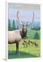 Yellowstone Nat'l Park - Elk Herd-Lantern Press-Framed Art Print