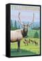 Yellowstone Nat'l Park - Elk Herd-Lantern Press-Framed Stretched Canvas