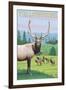 Yellowstone Nat'l Park - Elk Herd-Lantern Press-Framed Art Print