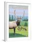 Yellowstone Nat'l Park - Elk Herd-Lantern Press-Framed Art Print