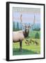 Yellowstone Nat'l Park - Elk Herd-Lantern Press-Framed Art Print