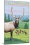 Yellowstone Nat'l Park - Elk Herd-Lantern Press-Mounted Art Print