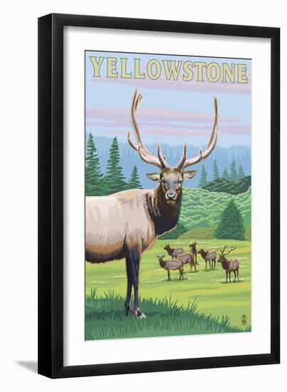 Yellowstone Nat'l Park - Elk Herd-Lantern Press-Framed Art Print