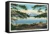 Yellowstone Nat'l Park, WY - Yellowstone Lake and Colter Peak-Lantern Press-Framed Stretched Canvas