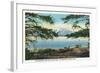 Yellowstone Nat'l Park, WY - Yellowstone Lake and Colter Peak-Lantern Press-Framed Art Print