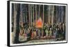 Yellowstone Nat'l Park, Wyoming - Campfire Entertainment Scene-Lantern Press-Framed Stretched Canvas