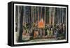 Yellowstone Nat'l Park, Wyoming - Campfire Entertainment Scene-Lantern Press-Framed Stretched Canvas