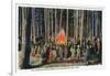 Yellowstone Nat'l Park, Wyoming - Campfire Entertainment Scene-Lantern Press-Framed Art Print