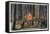 Yellowstone Nat'l Park, Wyoming - Campfire Entertainment Scene-Lantern Press-Framed Stretched Canvas