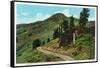 Yellowstone Nat'l Park, Wyoming - Dunraven Pass View-Lantern Press-Framed Stretched Canvas