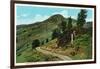 Yellowstone Nat'l Park, Wyoming - Dunraven Pass View-Lantern Press-Framed Art Print