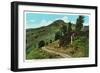 Yellowstone Nat'l Park, Wyoming - Dunraven Pass View-Lantern Press-Framed Art Print