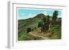 Yellowstone Nat'l Park, Wyoming - Dunraven Pass View-Lantern Press-Framed Art Print