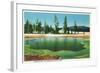 Yellowstone Nat'l Park, Wyoming - Emerald Pool Scene-Lantern Press-Framed Art Print