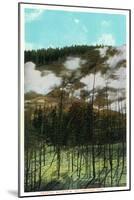 Yellowstone Nat'l Park, Wyoming - Roaring Mountain Scene-Lantern Press-Mounted Art Print