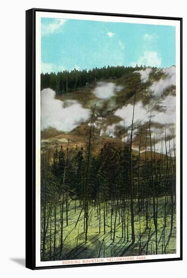 Yellowstone Nat'l Park, Wyoming - Roaring Mountain Scene-Lantern Press-Framed Stretched Canvas