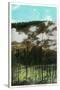 Yellowstone Nat'l Park, Wyoming - Roaring Mountain Scene-Lantern Press-Stretched Canvas