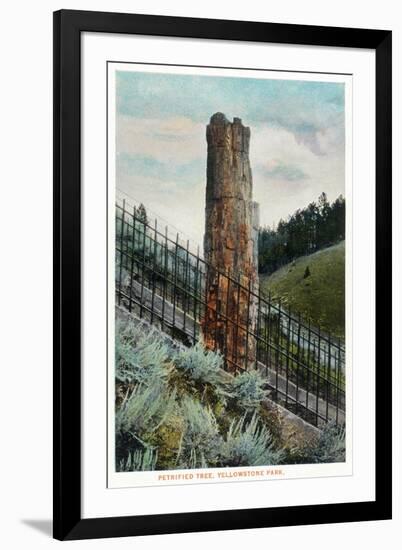 Yellowstone Nat'l Park, Wyoming - View of a Petrified Tree-Lantern Press-Framed Art Print