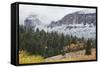 Yellowstone National Park, Autumn Frost-Ken Archer-Framed Stretched Canvas