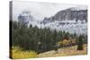 Yellowstone National Park, Autumn Frost-Ken Archer-Stretched Canvas