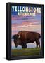Yellowstone National Park - Bison and Sunset-null-Framed Poster