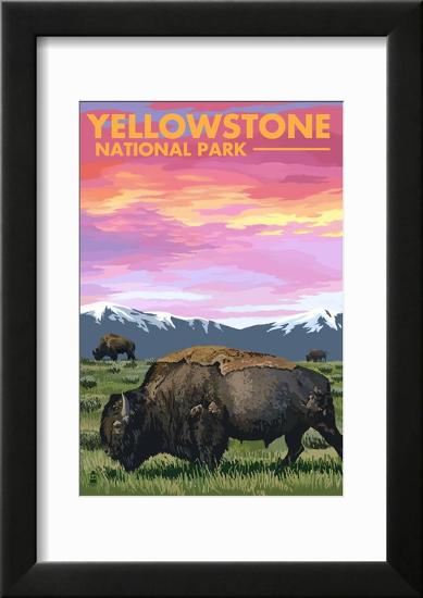 Yellowstone National Park - Bison and Sunset-null-Framed Art Print