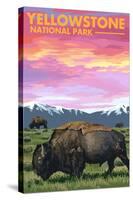 Yellowstone National Park - Bison and Sunset-Lantern Press-Stretched Canvas