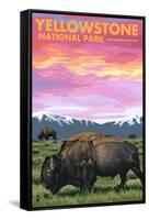 Yellowstone National Park - Bison and Sunset-Lantern Press-Framed Stretched Canvas