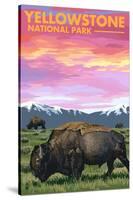 Yellowstone National Park - Bison and Sunset-Lantern Press-Stretched Canvas