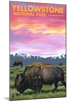 Yellowstone National Park - Bison and Sunset-Lantern Press-Mounted Art Print