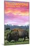 Yellowstone National Park - Bison and Sunset-Lantern Press-Mounted Art Print