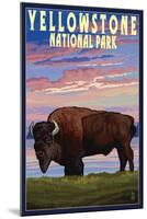 Yellowstone National Park - Bison and Sunset-Lantern Press-Mounted Art Print