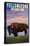 Yellowstone National Park - Bison and Sunset-Lantern Press-Stretched Canvas