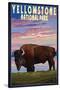 Yellowstone National Park - Bison and Sunset-Lantern Press-Stretched Canvas