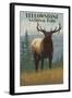 Yellowstone National Park - Elk in Forest-Lantern Press-Framed Art Print