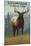 Yellowstone National Park - Elk in Forest-Lantern Press-Mounted Art Print