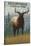 Yellowstone National Park - Elk in Forest-Lantern Press-Stretched Canvas