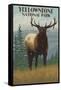 Yellowstone National Park - Elk in Forest-Lantern Press-Framed Stretched Canvas