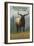 Yellowstone National Park - Elk in Forest-Lantern Press-Framed Art Print
