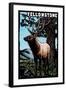 Yellowstone National Park - Elk - Scratchboard-Lantern Press-Framed Art Print