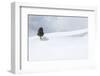 Yellowstone National Park, Lamar Valley. A lone trees standing out in the snowy landscape.-Ellen Goff-Framed Photographic Print