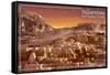 Yellowstone National Park - Mammoth Hot Springs-Lantern Press-Framed Stretched Canvas